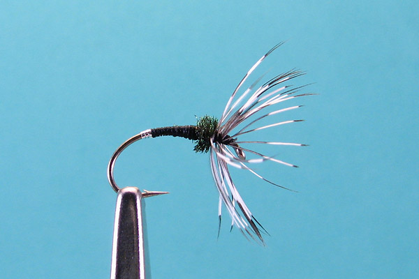 rockworm1